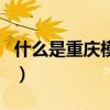 什么是重慶模式（關于什么是重慶模式的介紹）