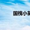 國槐小苗（關于國槐小苗的介紹）