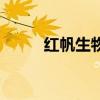 紅帆生物（關于紅帆生物的介紹）