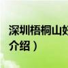 深圳梧桐山好玩嗎（關于深圳梧桐山好玩嗎的介紹）