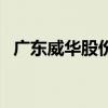 廣東威華股份（關于廣東威華股份的介紹）