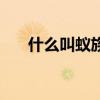 什么叫蟻族（關于什么叫蟻族的介紹）