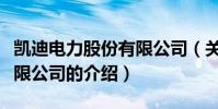 凱迪電力股份有限公司(關于凱迪電力股份有限公司的介紹)