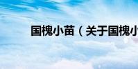 國槐小苗(關于國槐小苗的介紹)