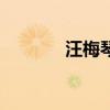 汪梅琴（關于汪梅琴的介紹）