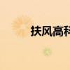 扶風高科（關于扶風高科的介紹）