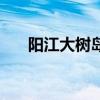 陽江大樹島（關于陽江大樹島的介紹）