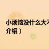 小煩惱沒什么大不了歌詞（關于小煩惱沒什么大不了歌詞的介紹）