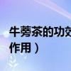 牛蒡茶的功效與作用對腎好（牛蒡茶的功效與作用）