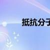 抵抗分子（關于抵抗分子的介紹）