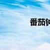 番茄鐘（關于番茄鐘的介紹）