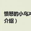 憤怒的小鳥沖沖沖（關于憤怒的小鳥沖沖沖的介紹）