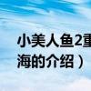 小美人魚2重返大海（關于小美人魚2重返大海的介紹）