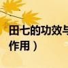 田七的功效與作用應該怎么吃（田七的功效與作用）
