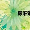 蕨麻豬（關于蕨麻豬的介紹）