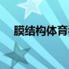 膜結構體育看臺廠家（膜結構體育看臺）