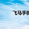 飛馬手機（關于飛馬手機的介紹）