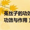 菟絲子的功效與作用及禁忌有哪些（菟絲子的功效與作用）