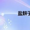 鹽麩子（關于鹽麩子的介紹）