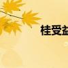 桂受益（關于桂受益的介紹）