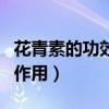 花青素的功效與作用和禁忌（花青素的功效與作用）