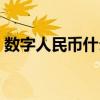 數字人民幣什么意思（數字人民幣什么意思）