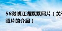 56微博江湖默默照片(關于56微博江湖默默照片的介紹)