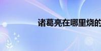 諸葛亮在哪里燒的藤兵?