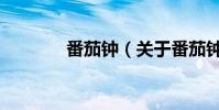 番茄鐘(關于番茄鐘的介紹)