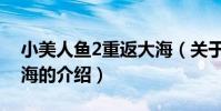 小美人魚2重返大海(關于小美人魚2重返大海的介紹)