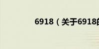 6918(關于6918的介紹)