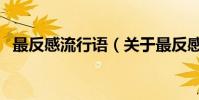 最反感流行語(關于最反感流行語的介紹)