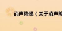 消聲降噪(關于消聲降噪的介紹)