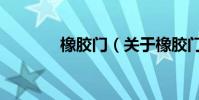 橡膠門(關于橡膠門的介紹)