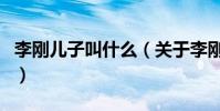 李剛兒子叫什么(關于李剛兒子叫什么的介紹)
