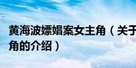 黃海波嫖娼案女主角(關于黃海波嫖娼案女主角的介紹)