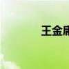 王金庸（關于王金庸的介紹）
