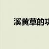 溪黃草的功效與作用（溪黃草的功效）