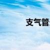 支氣管炎治療（支氣管炎治療）