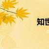 知世（關于知世的介紹）