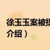 徐玉玉案被提公訴（關于徐玉玉案被提公訴的介紹）