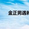 金正男遇刺（關于金正男遇刺的介紹）