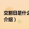 交割日是什么意思（關于交割日是什么意思的介紹）