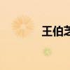 王伯芝（關于王伯芝的介紹）
