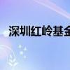 深圳紅嶺基金（關于深圳紅嶺基金的介紹）