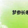 夢參長老（關于夢參長老的介紹）