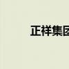 正祥集團（關于正祥集團的介紹）