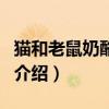 貓和老鼠奶酪大戰（關于貓和老鼠奶酪大戰的介紹）