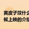 黃皮子墳什么時候上映（關于黃皮子墳什么時候上映的介紹）