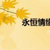 永恒情緣（關于永恒情緣的介紹）